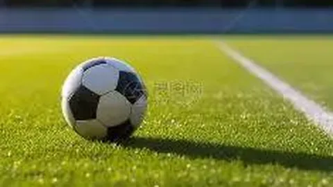 《李平康揭秘：西悉尼流浪者队曾秘密求教津门虎外援哈达斯智慧》