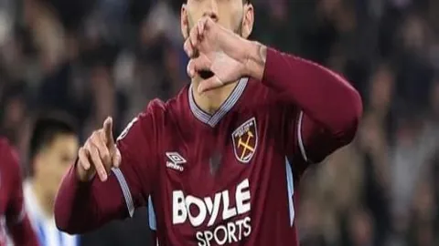 kaiyun·开云（中国）